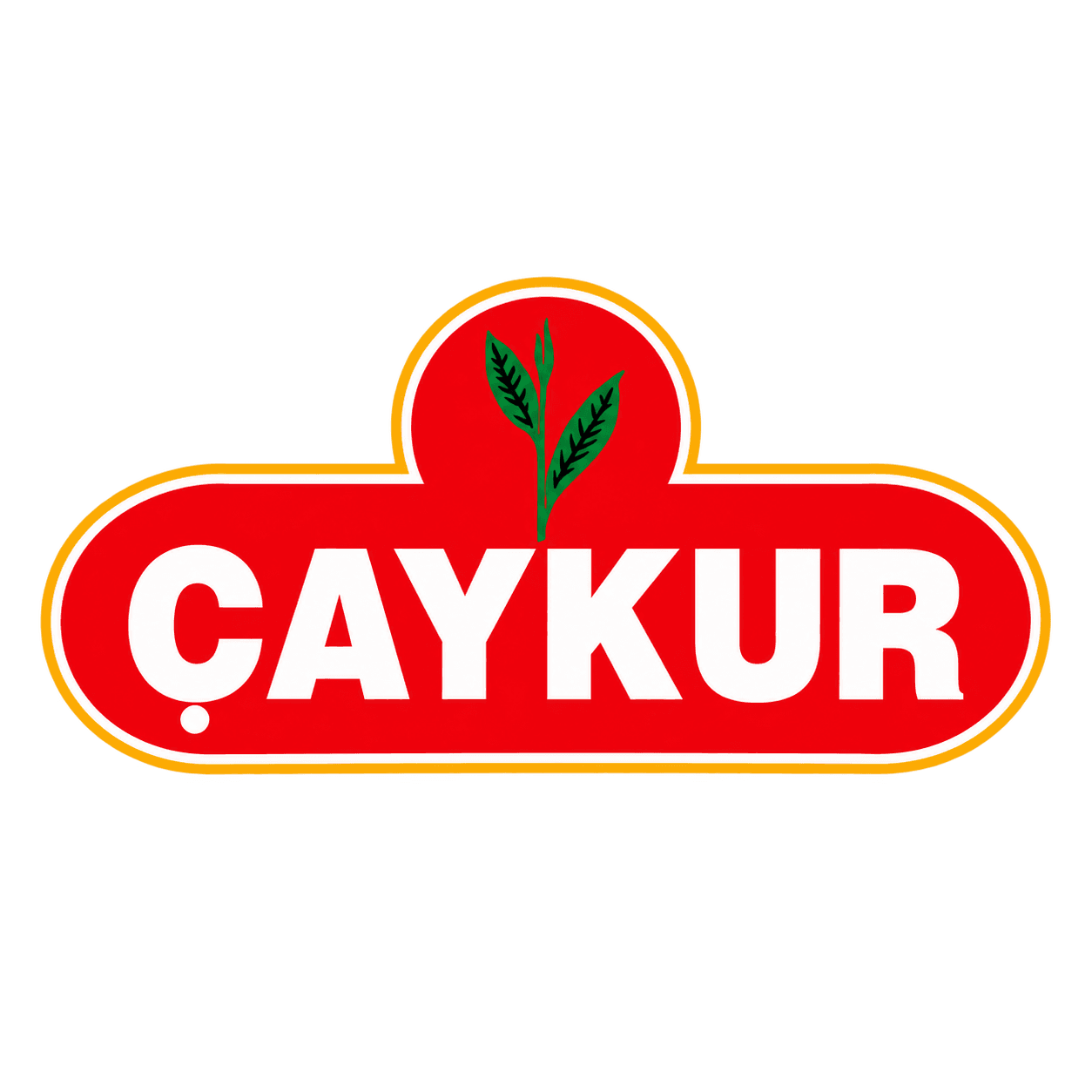 Çaykur